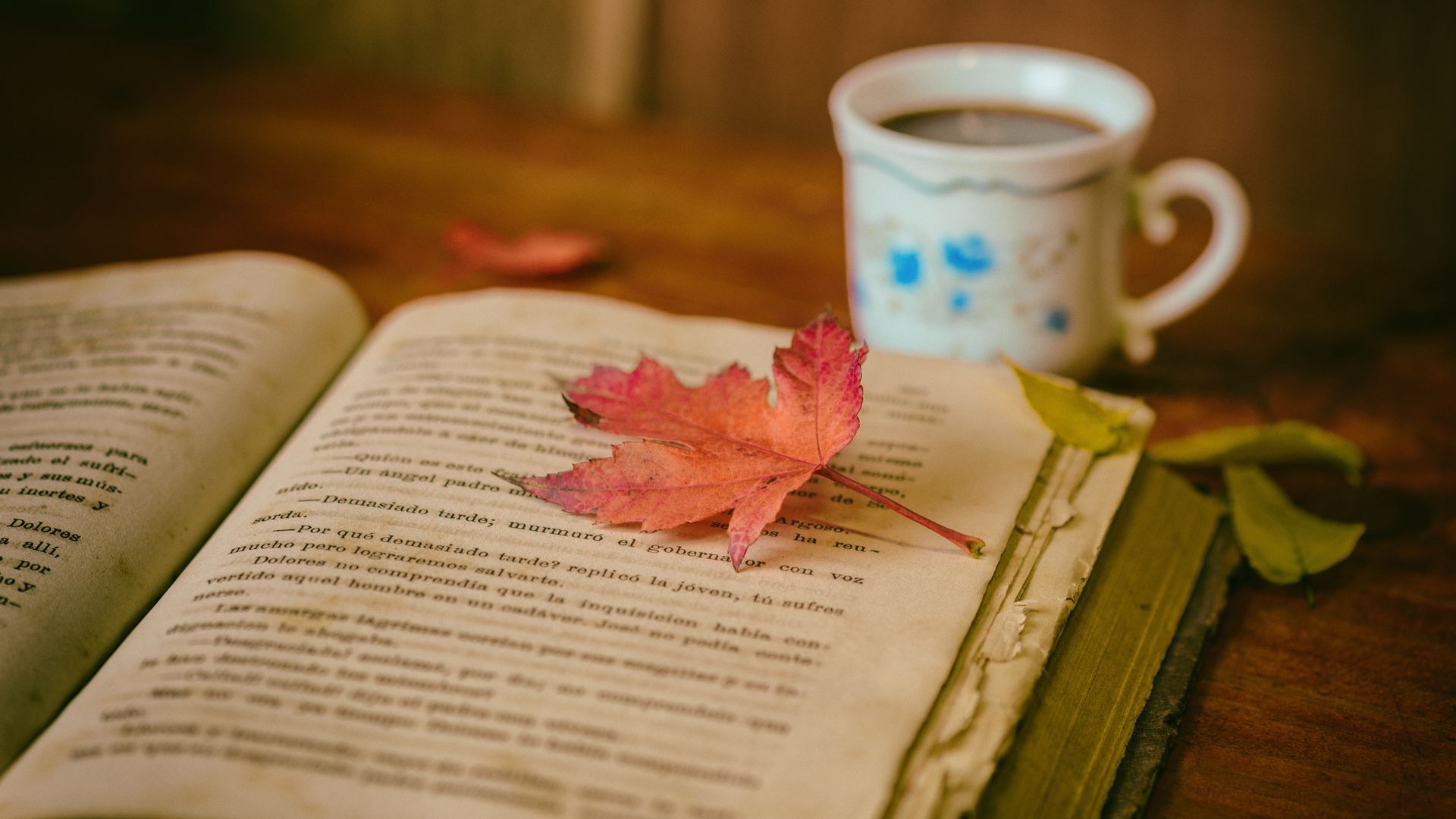 Download wallpaper 1920x1080 book, leaves, cup, autumn, comfort, reading, coffee full hd, hdtv, fhd, 1080p HD background
