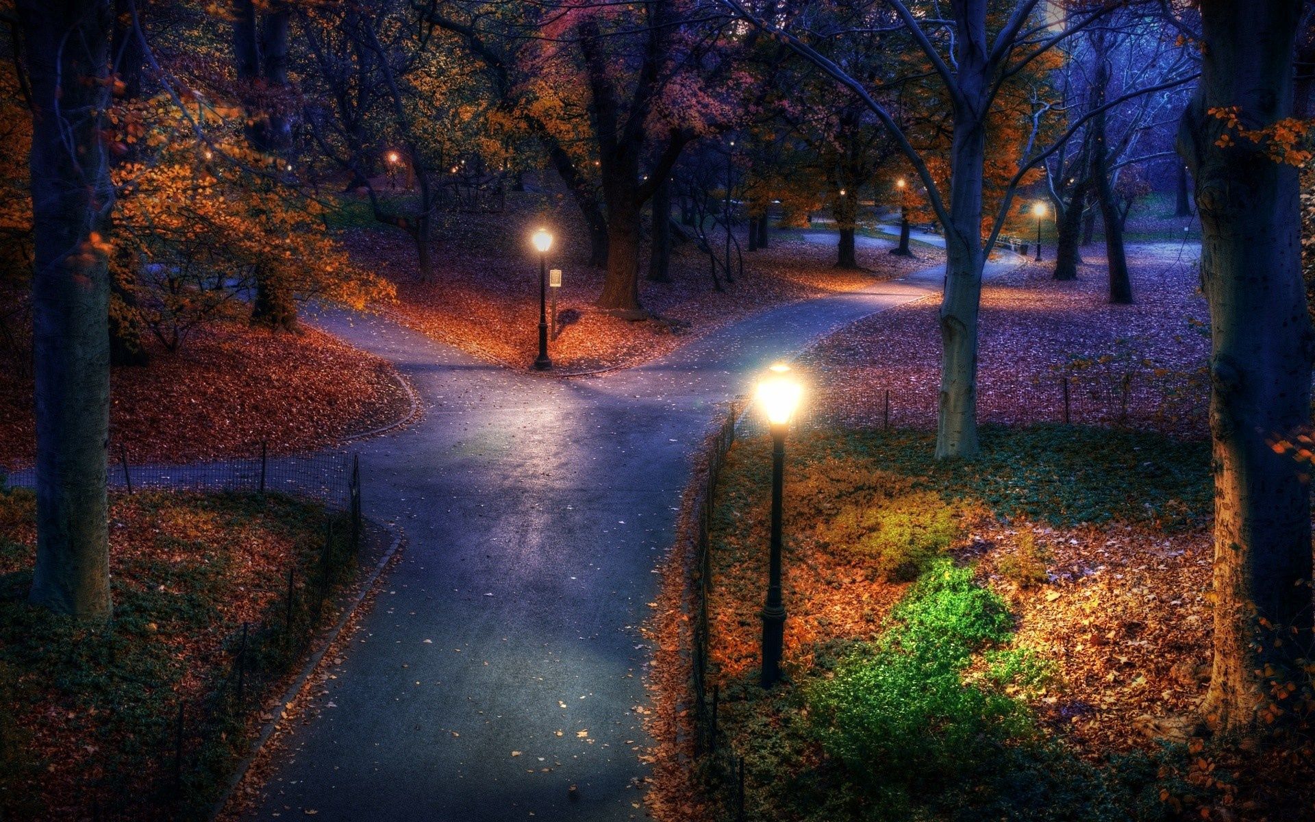 Free Leaves 4K Wallpaper & Desktop HD Background for PC