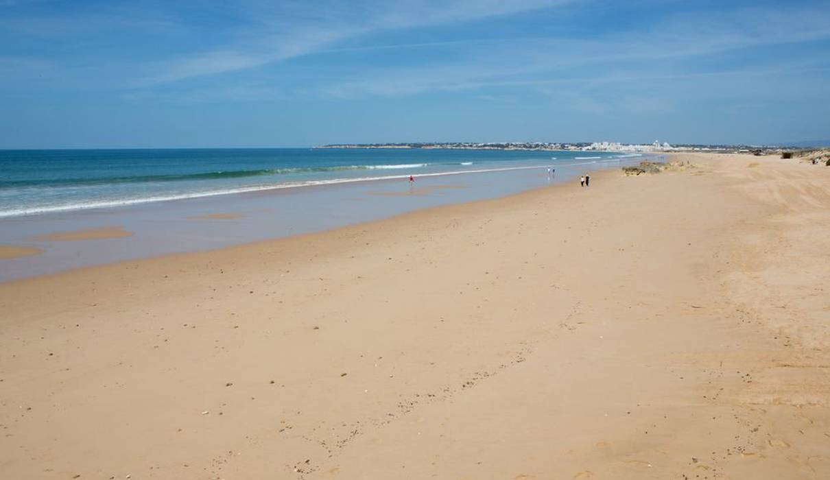 Bayside Salgados's Photo, Official Website