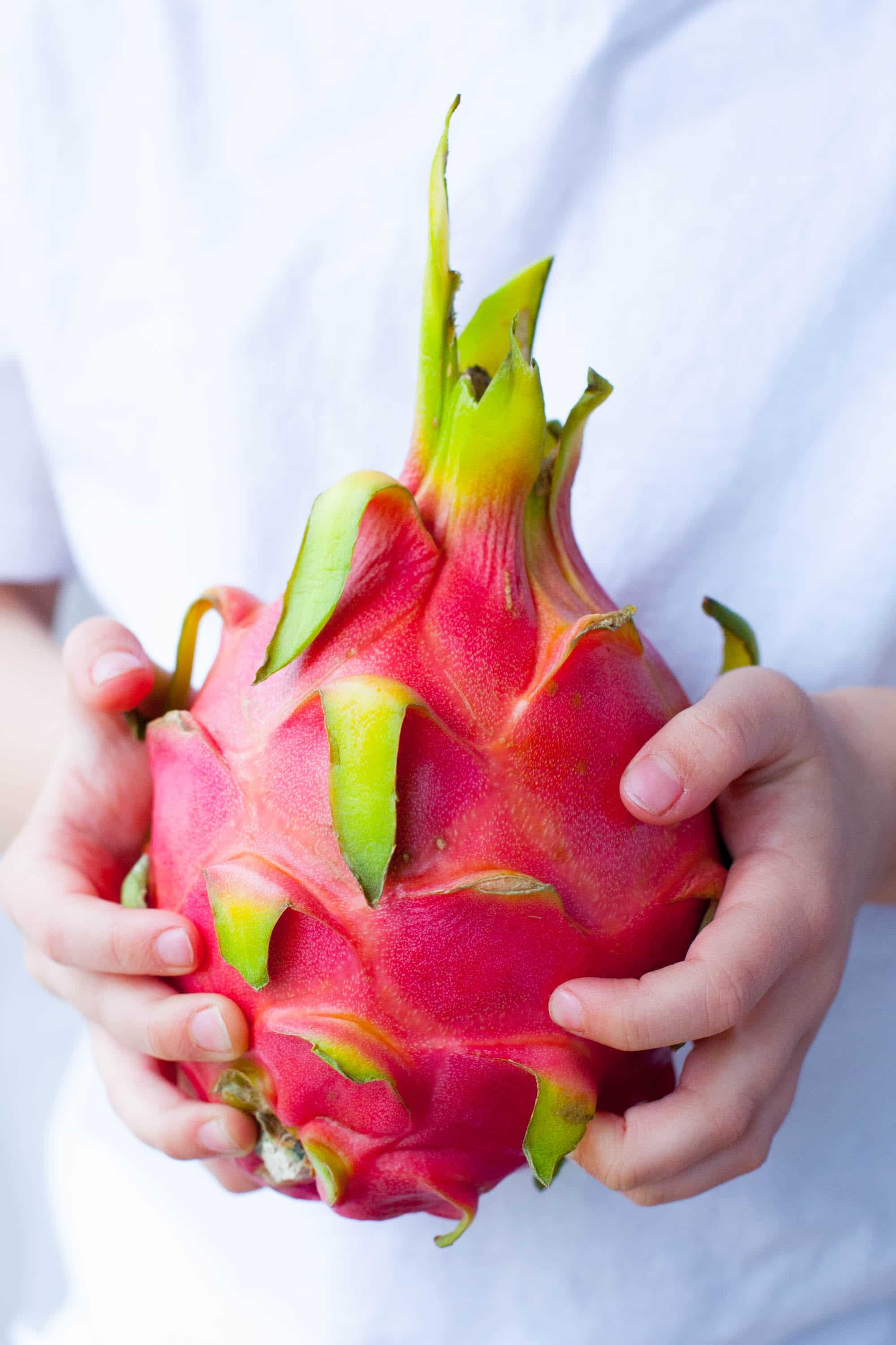 Dragon Fruit Wallpaper