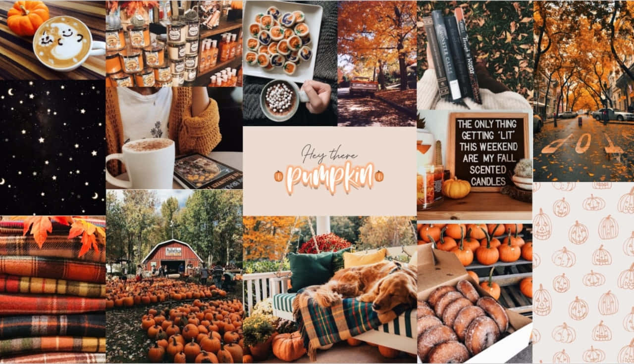 fall collage desktop Wallpaper