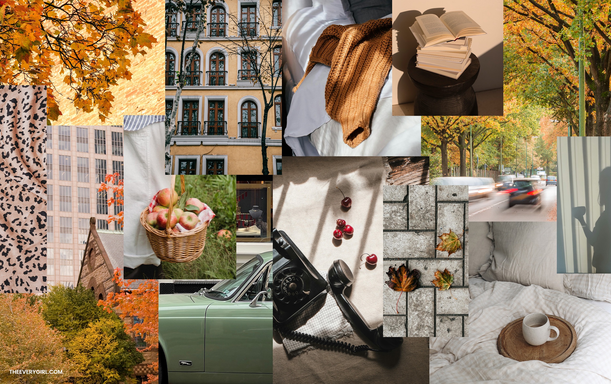 September 2024 Tech Background: Free