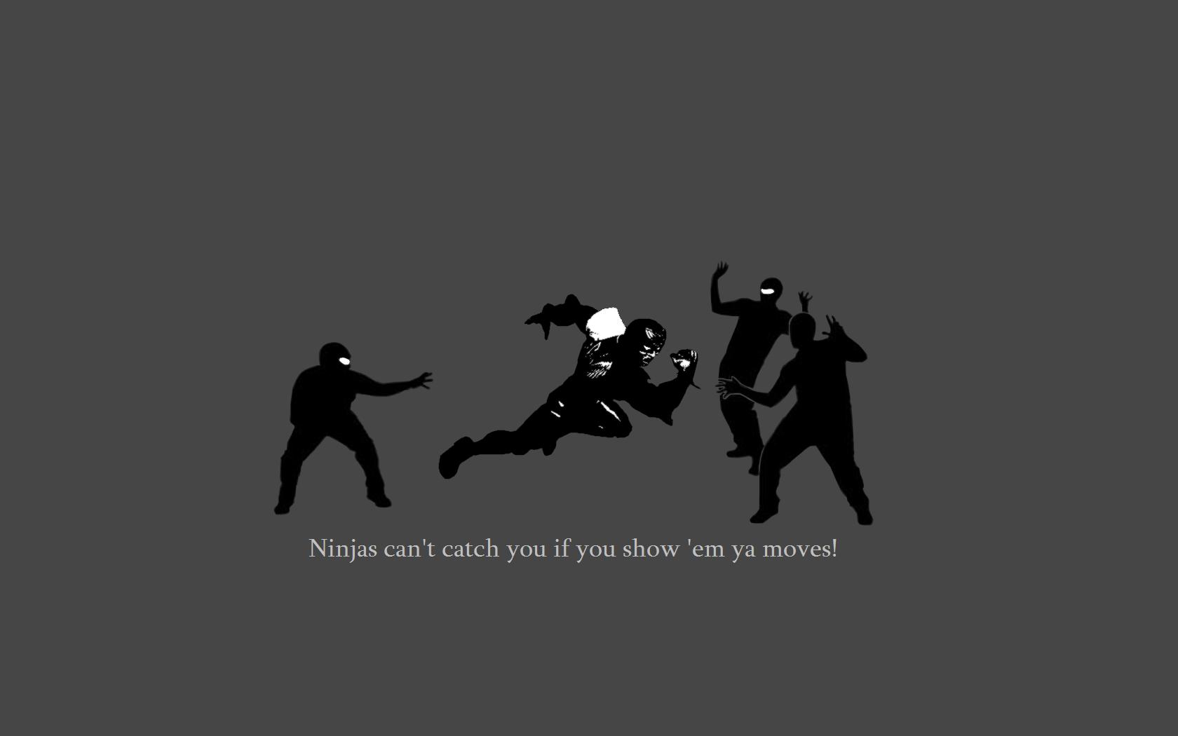 Download Funny Ninja Wallpaper
