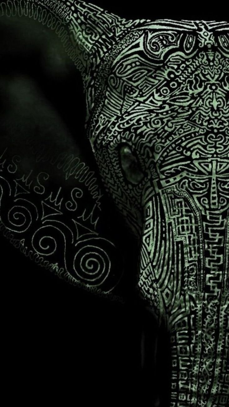 Elephant iPhone Wallpaper