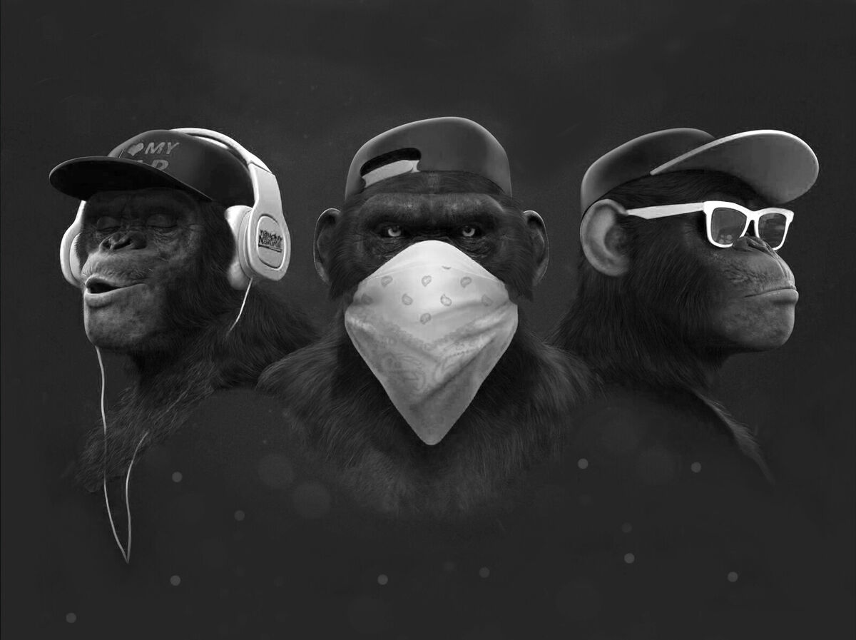 Swag Monkeys Abstract Canvas Wall Art