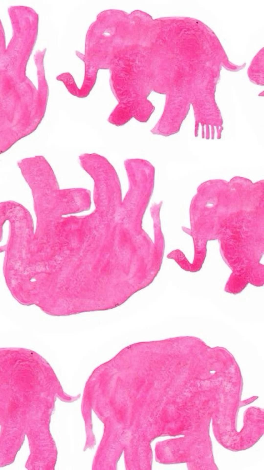 elephants !!