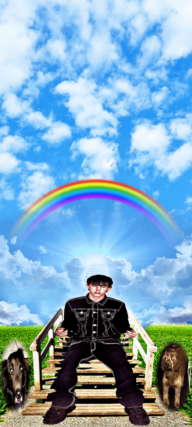 rainbow bridge trilogy wallpaper