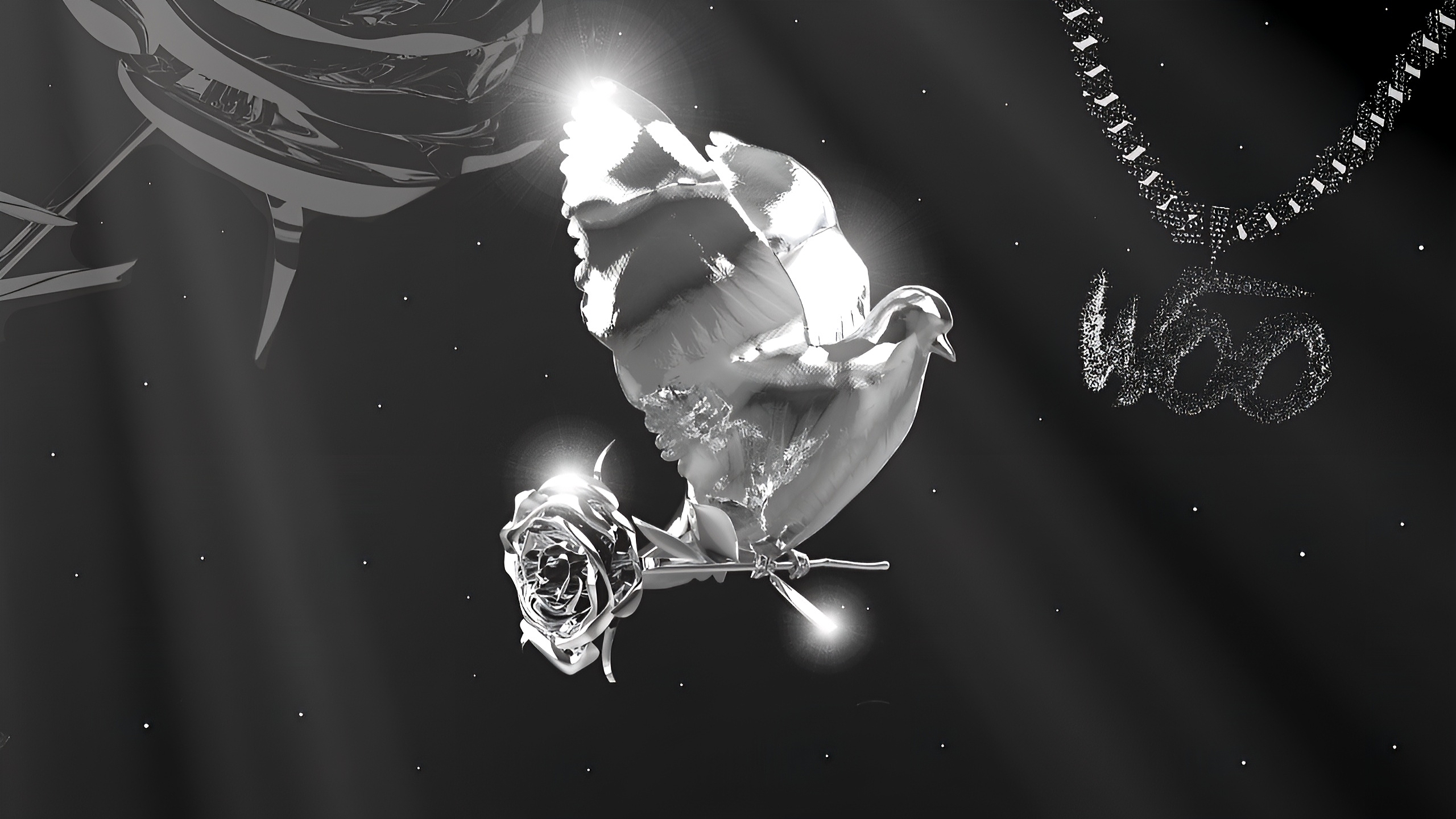 SFTSAFTM Dove and Star around Moon PC