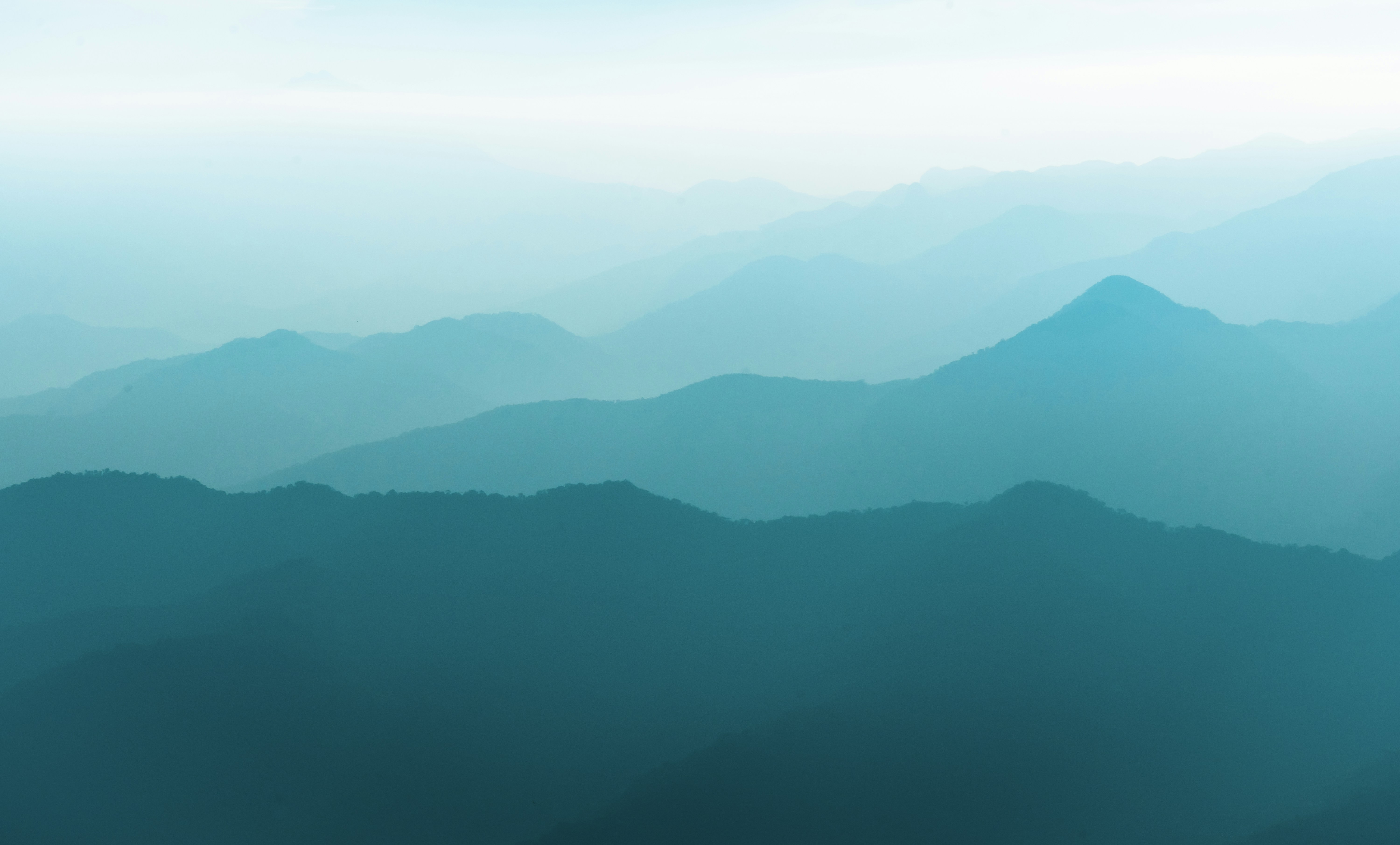 Green Wallpaper: Free HD Download