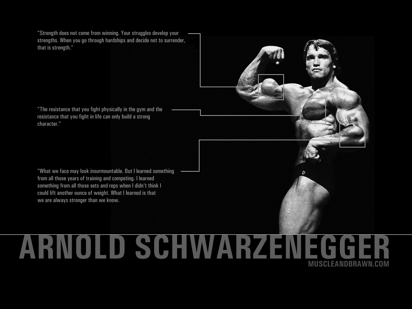 Free Arnold Schwarzenegger 4K Wallpaper & Desktop HD Background for PC