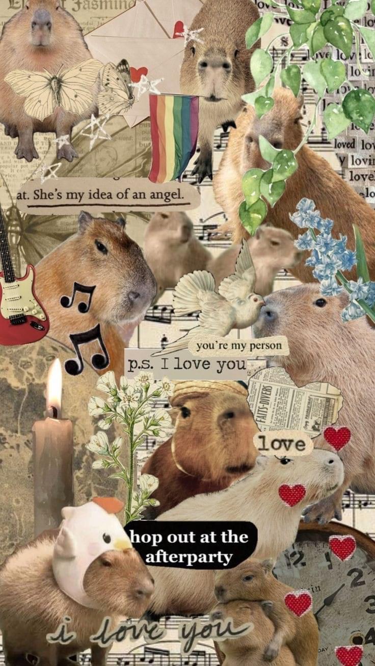 Capybara phone wallpaper