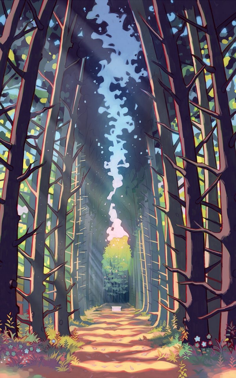 Wallpaper alley trees forest art path