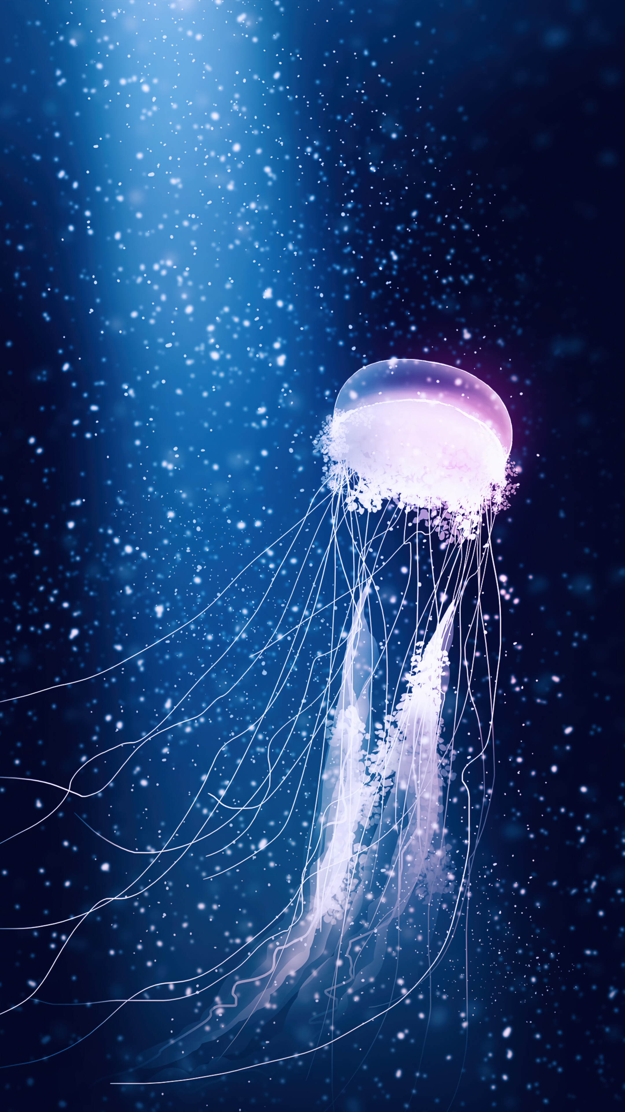Jellyfish Digital Art 4K Wallpaper