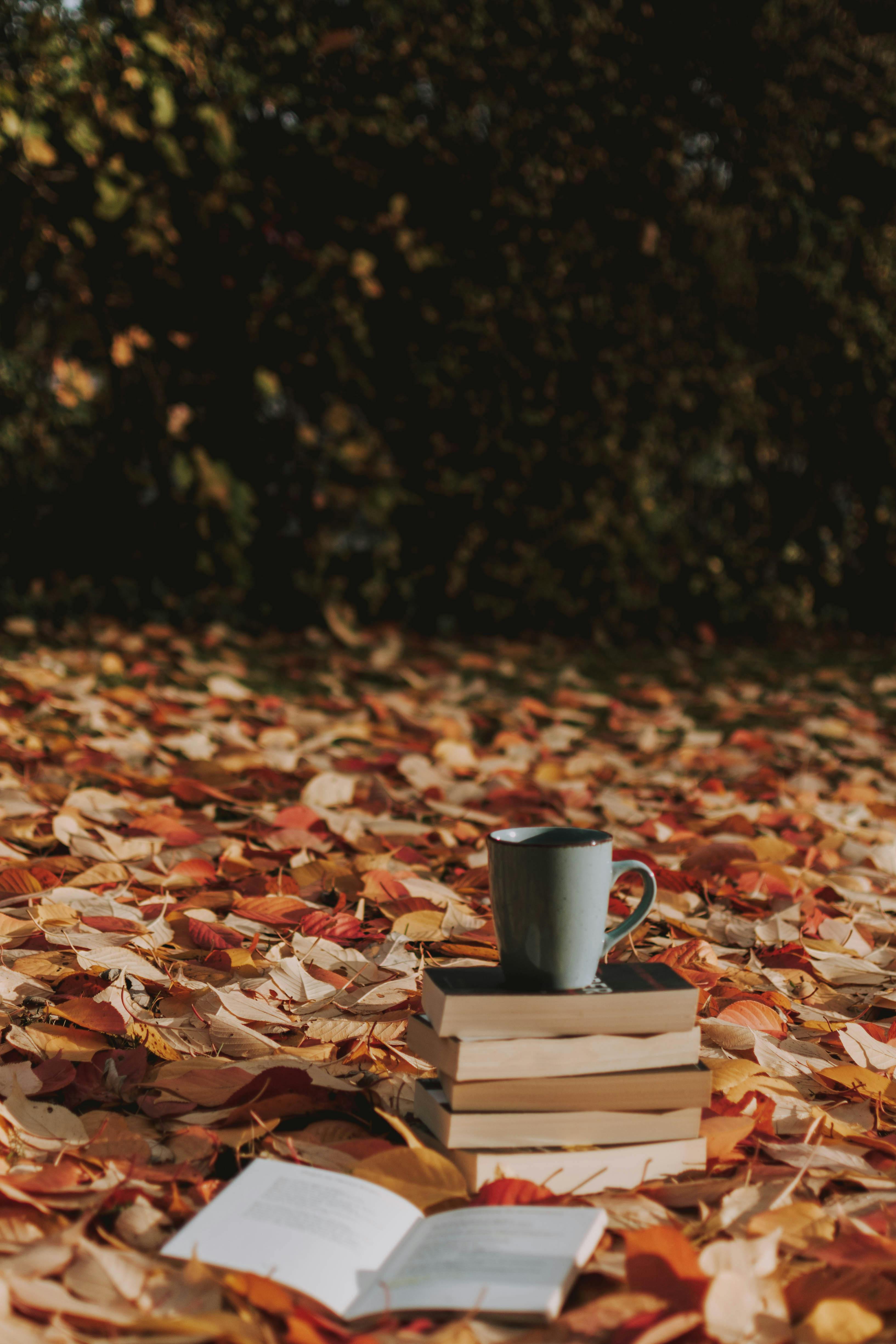 Book, Coffee and a Autumn Leaves · Free