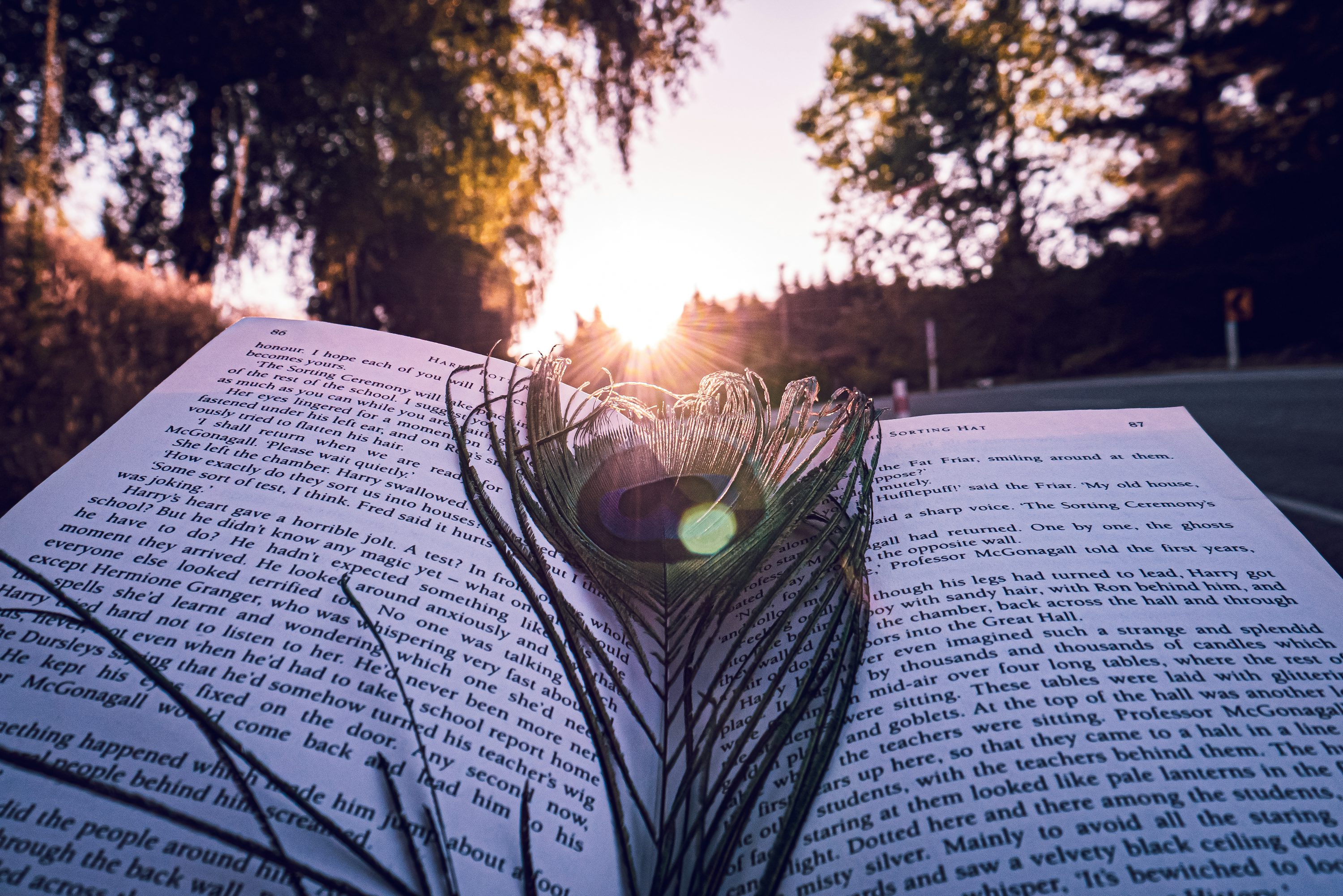 Book Wallpaper Picture. Download Free