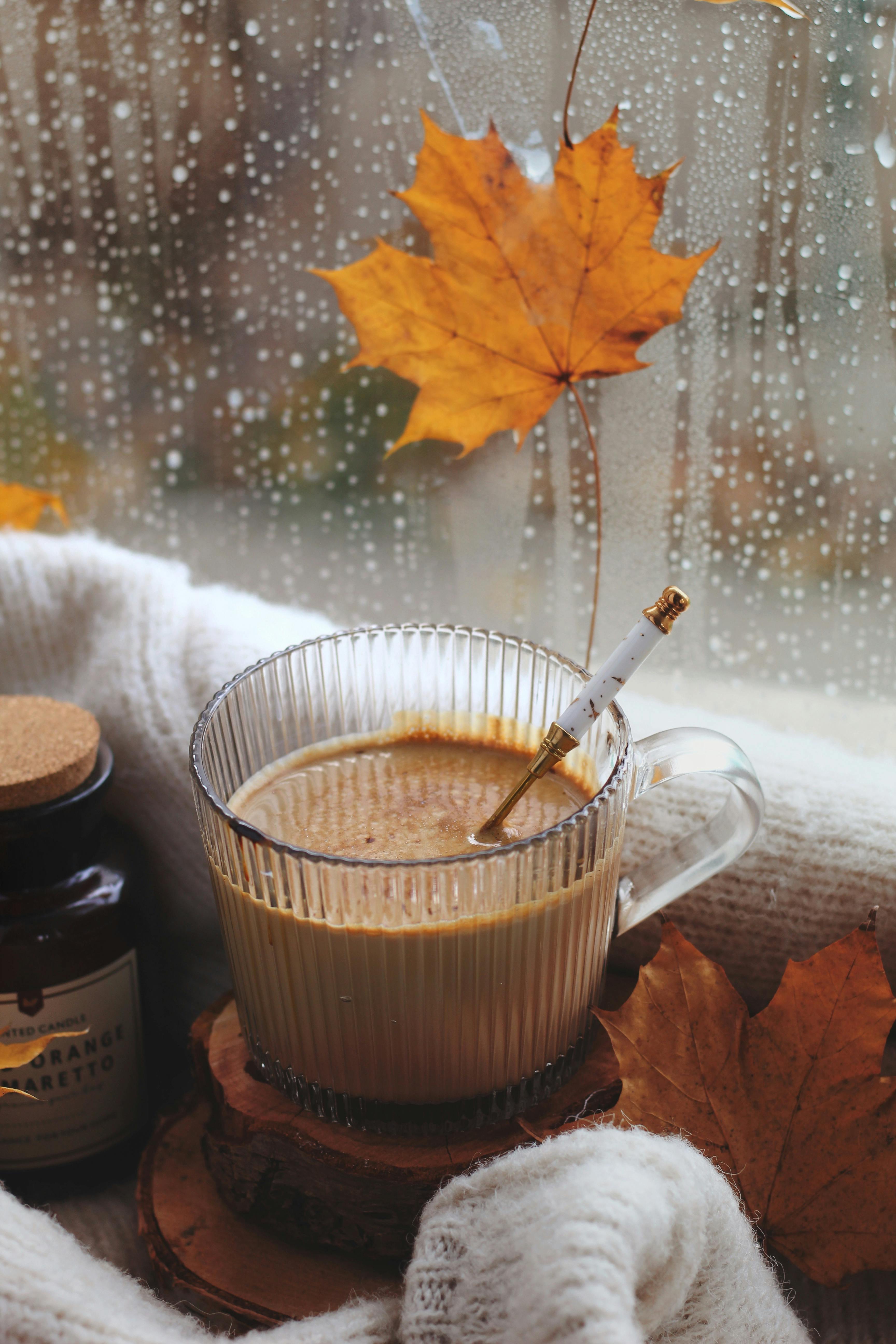 Cup of Coffee and Autumn Leaves · Free