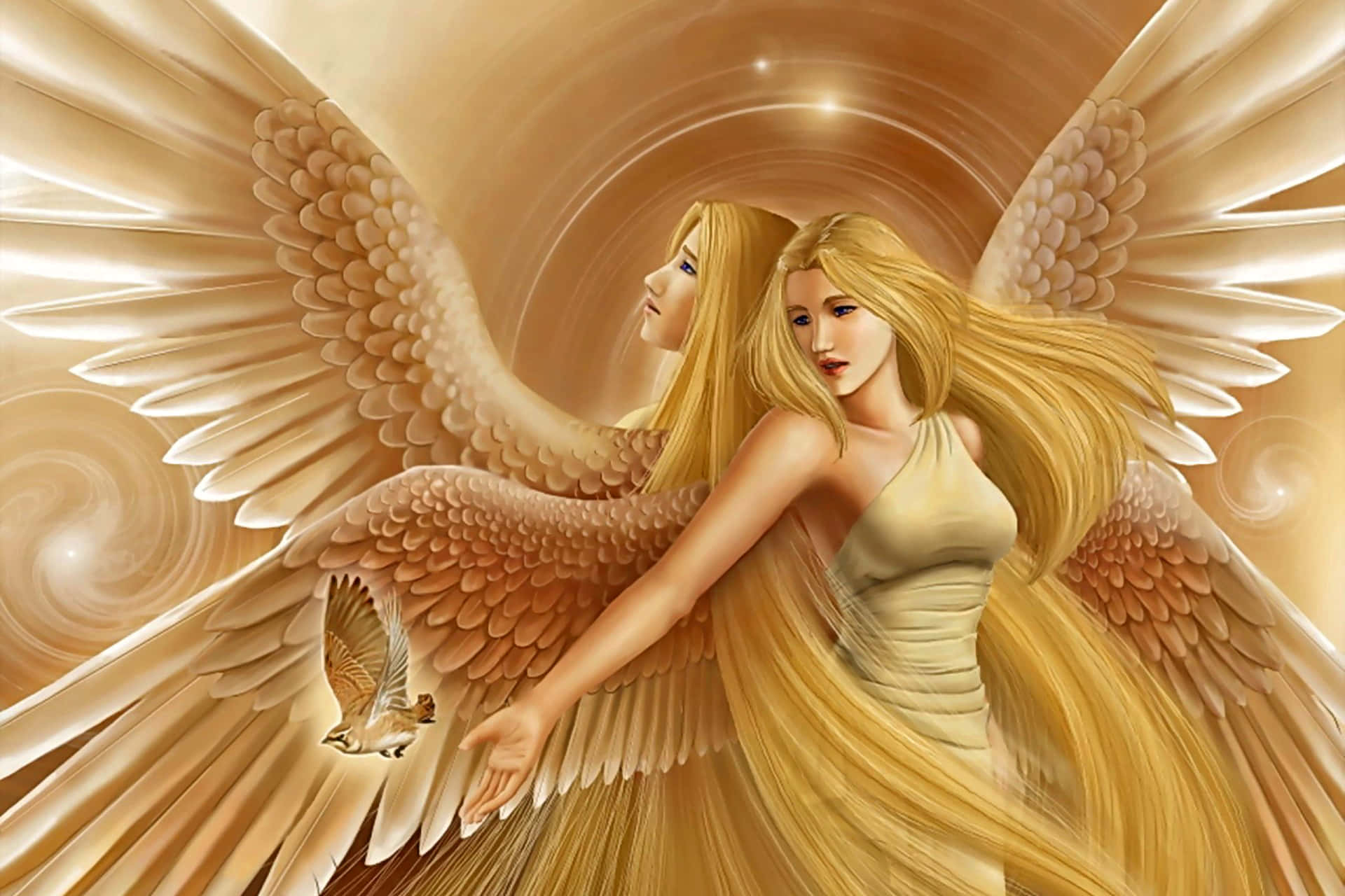 Download Angel Picture