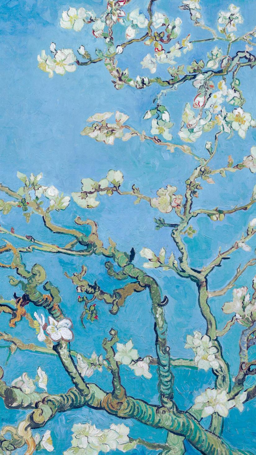 Almond Blossom (detail)