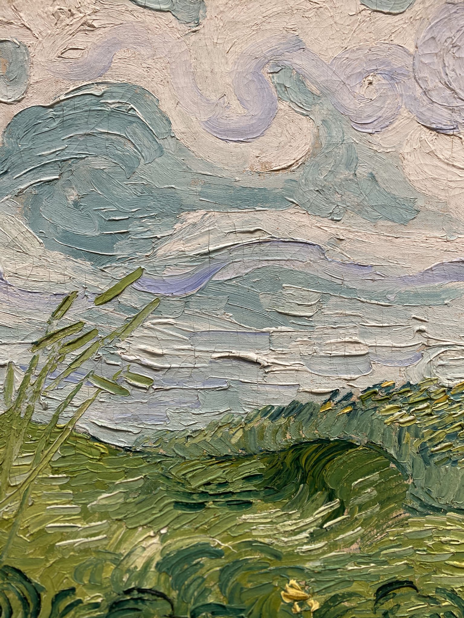 Green Wheat Fields, Auvers