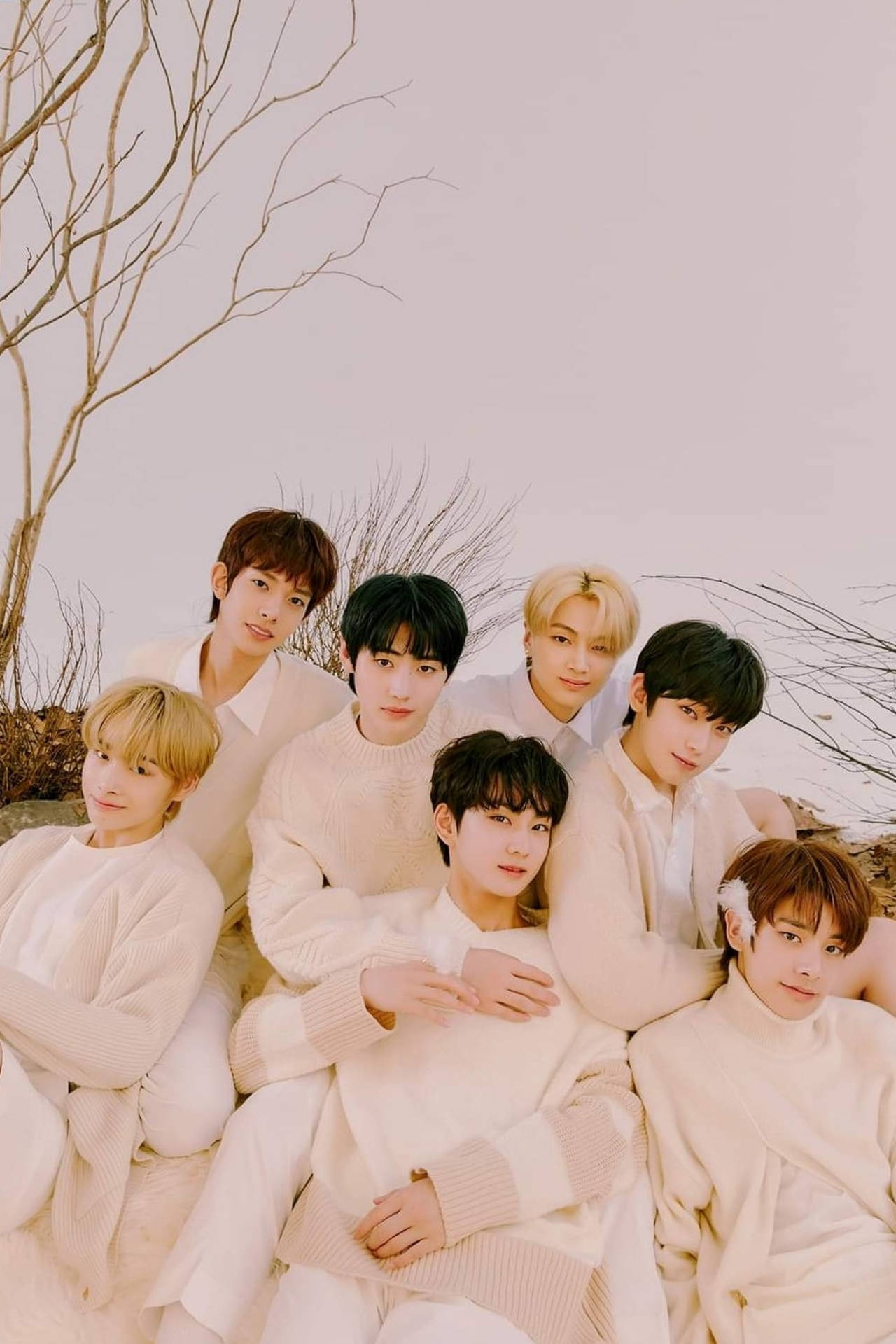 Download Enhypen All Members Wallpaper