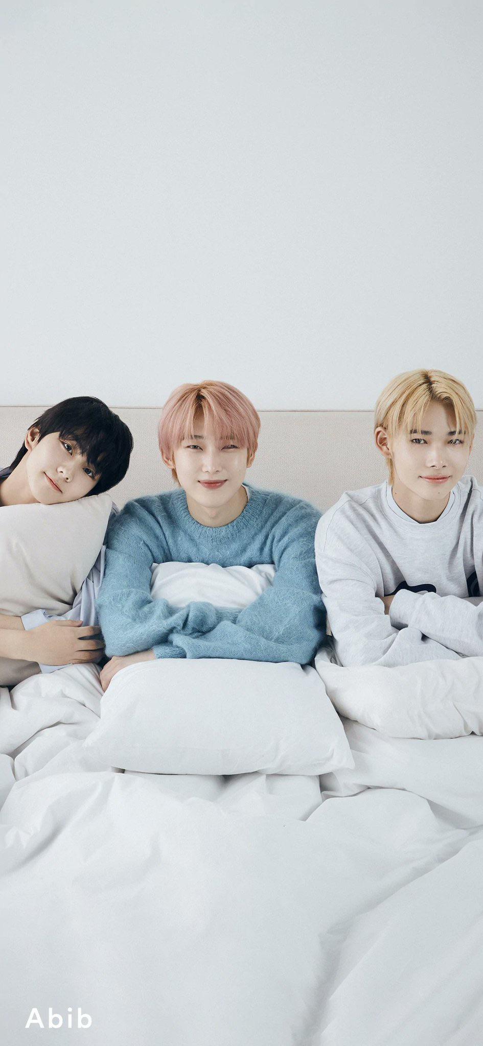 Abib Twitter: ABIB X ENHYPEN