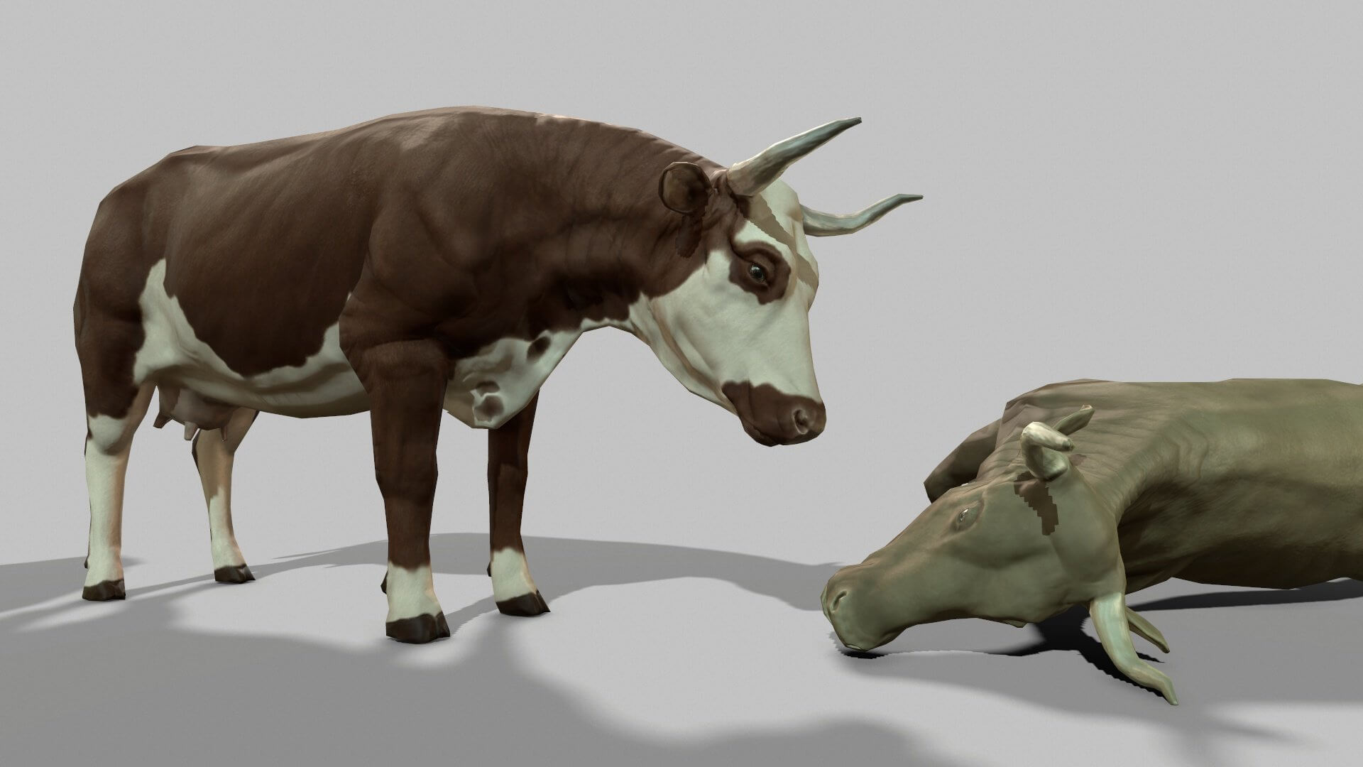 Animated Cattle