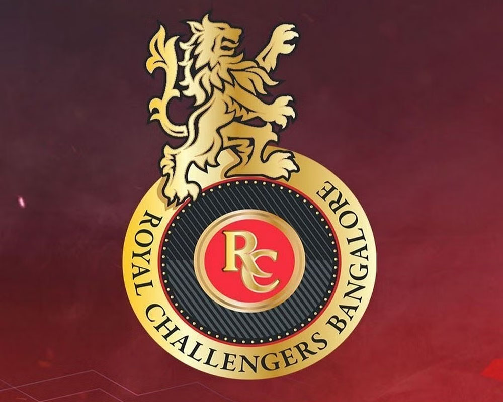RCB name Wayne Parnell, Vyshak Vijay