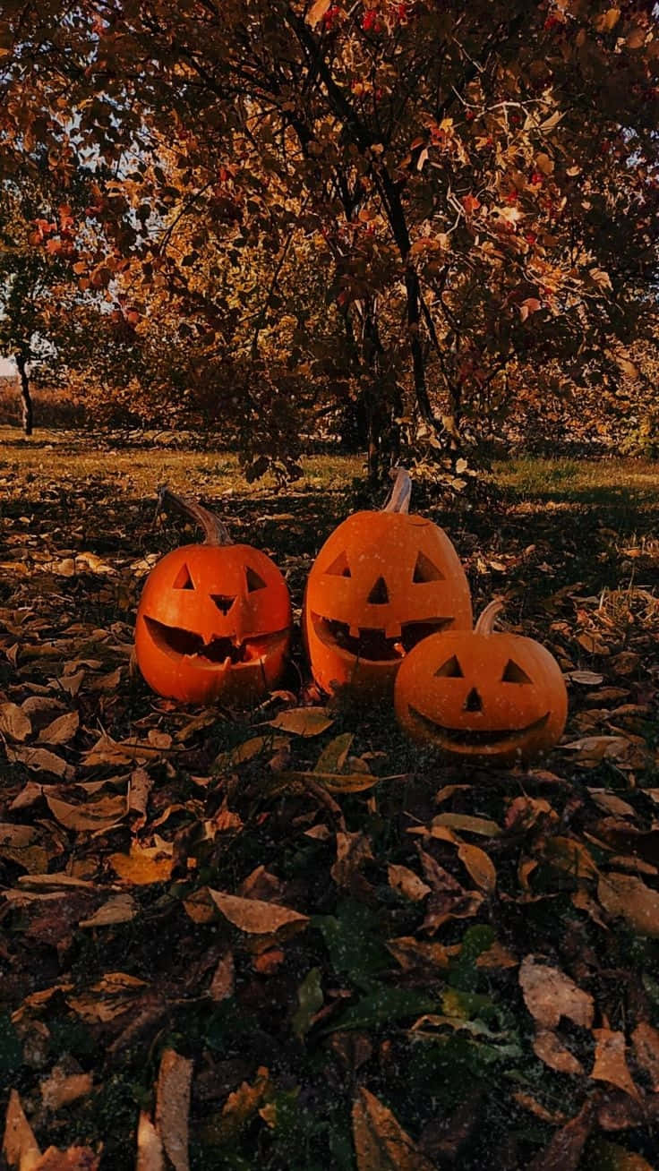 Download Autumn Pumpkin Trio_ Halloween Vibes Wallpaper