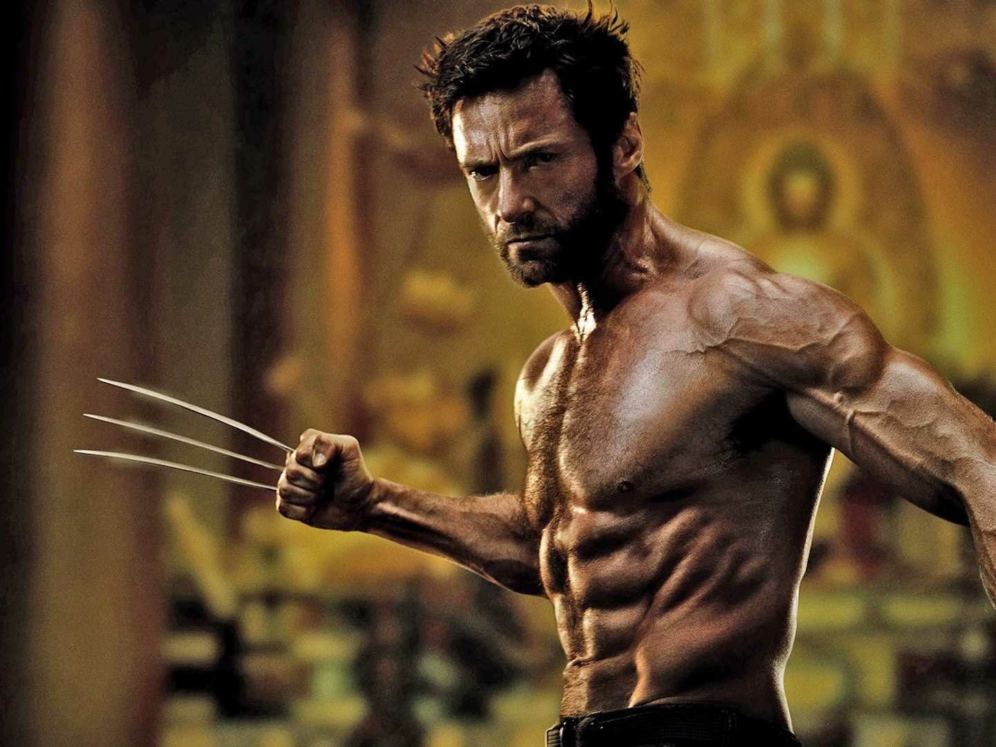 Download Movie The Wolverine Wallpaper