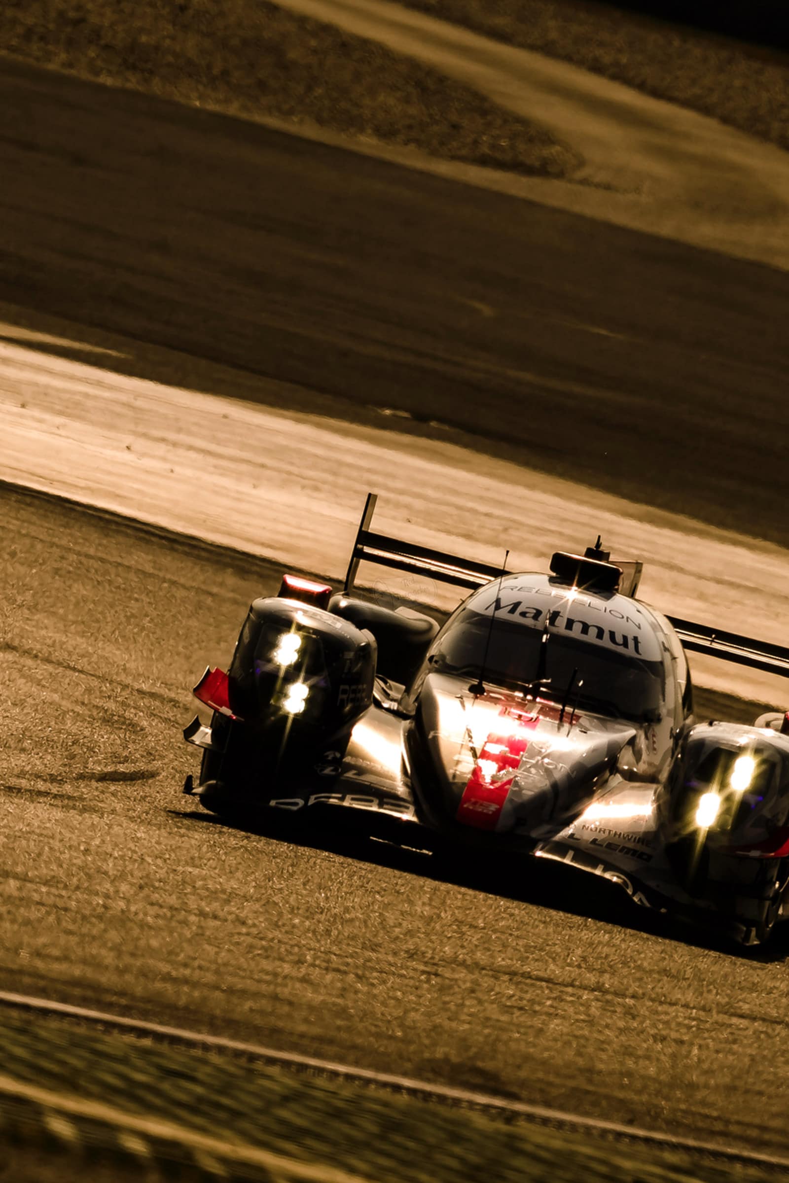 Red Firecracker Photography