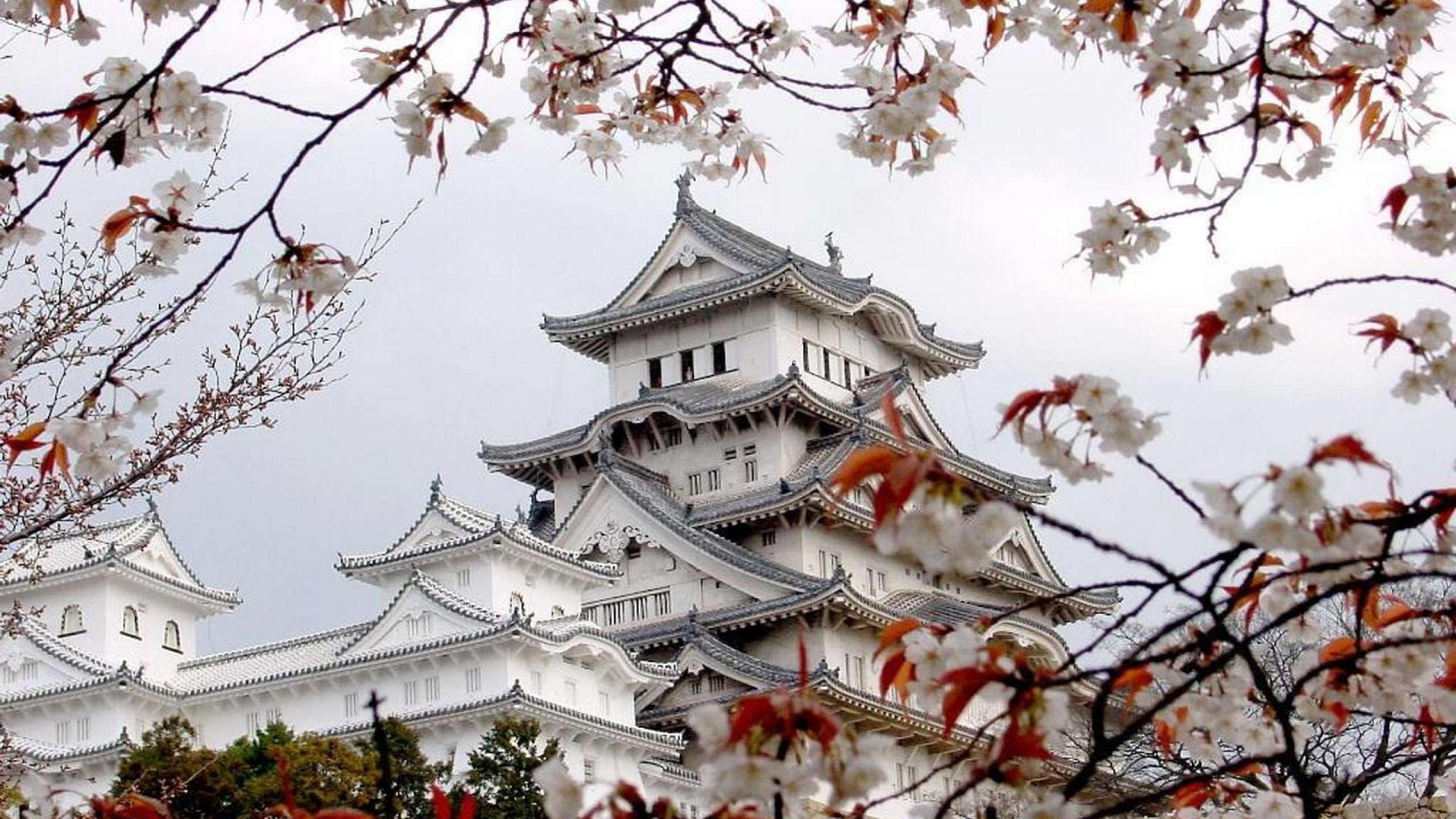 WQHD, QHD, 16:9 Japanese Art Wallpaper