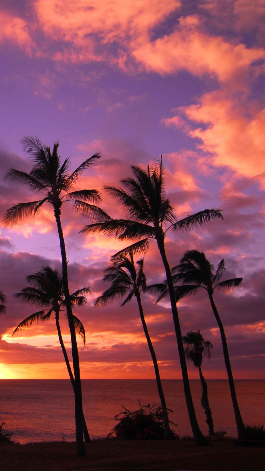 Hawaiian Sunset Wallpaper
