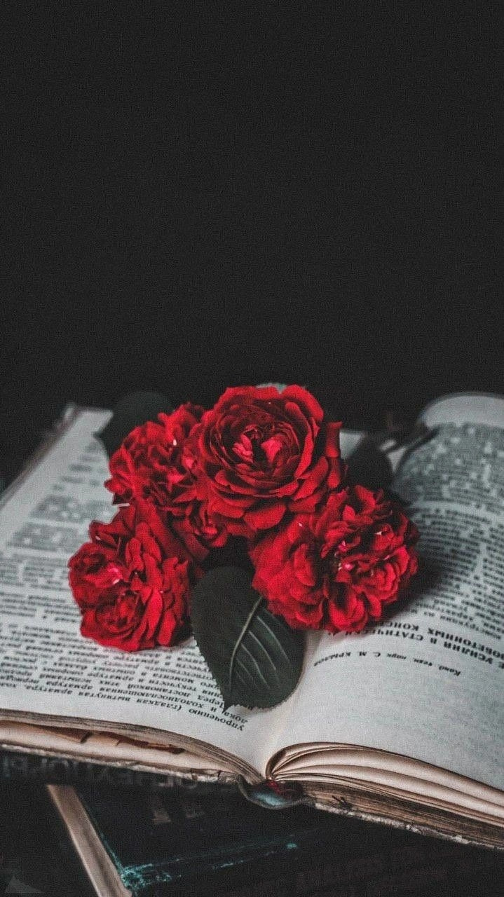 Cute Wallpaper Background