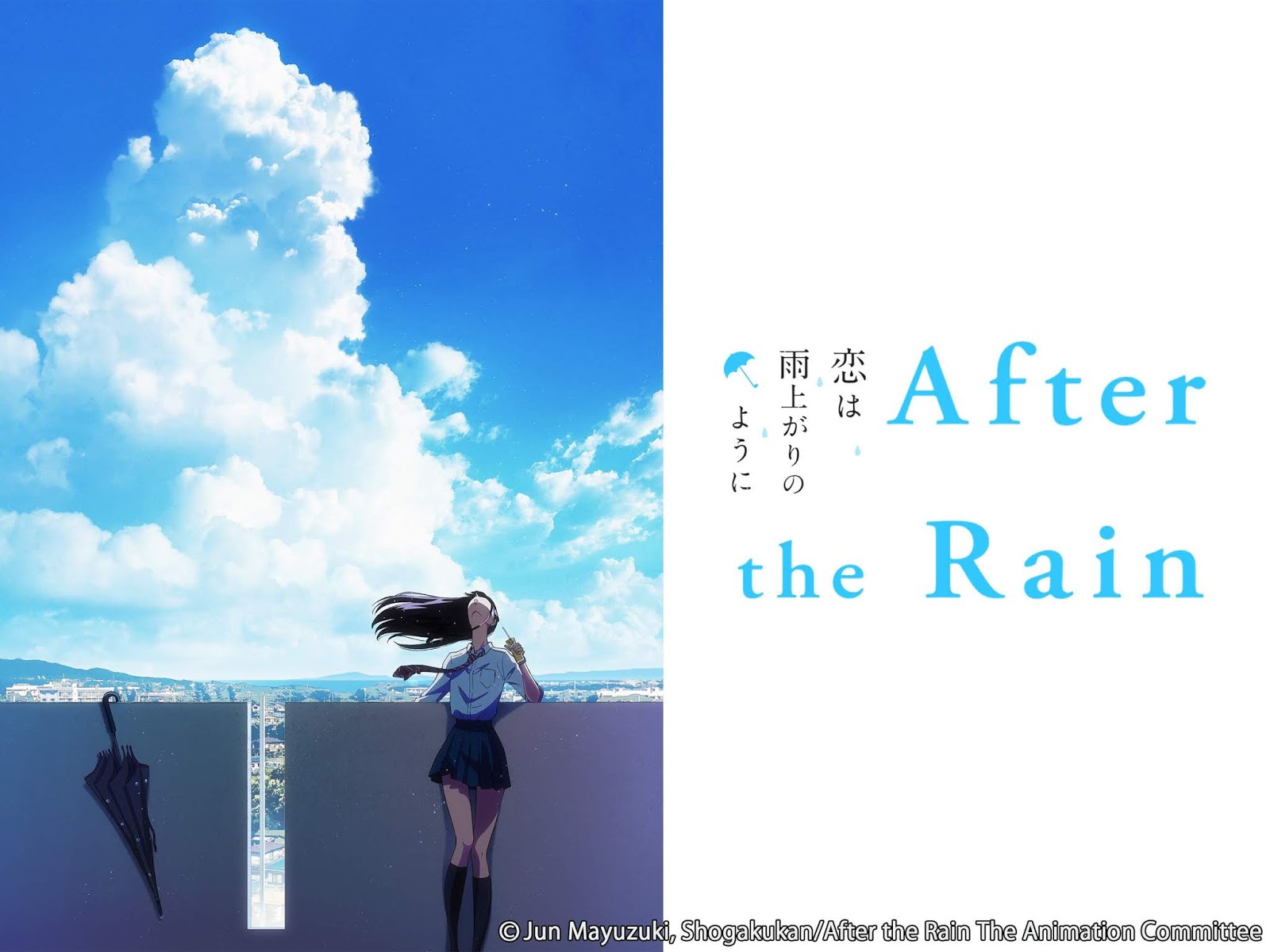 the Rain Anime Review