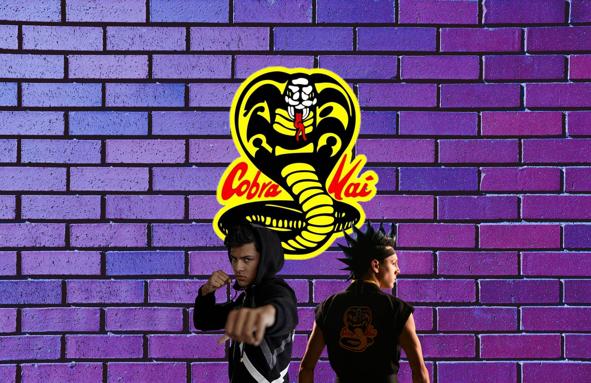 Hawk Cobra Kai Purple Wallpaper