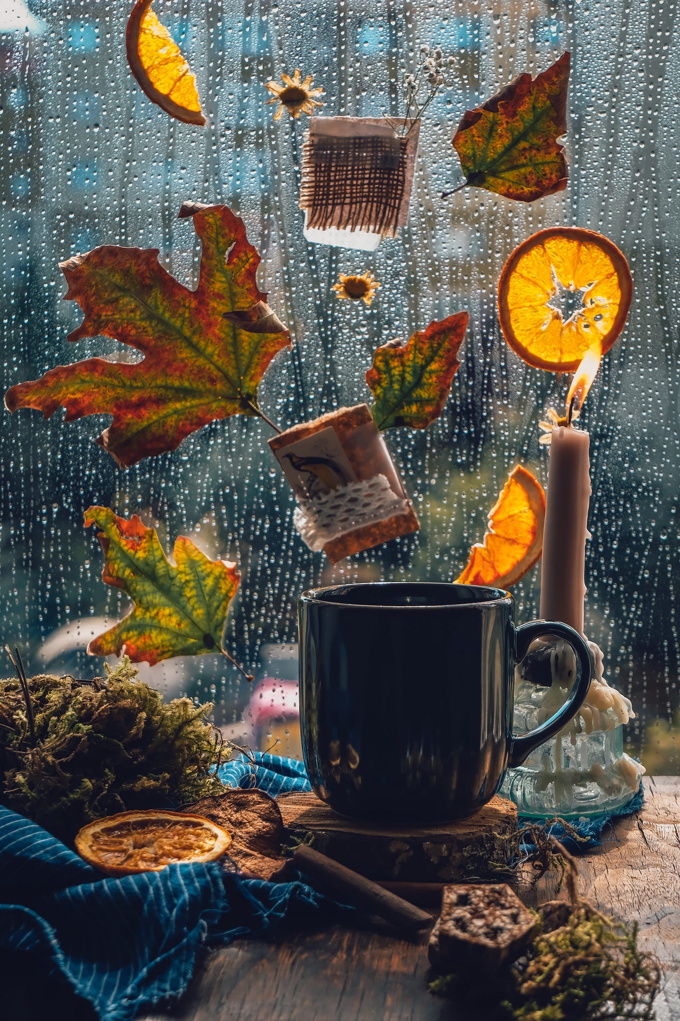 Weather Forecasts, Rainy Days