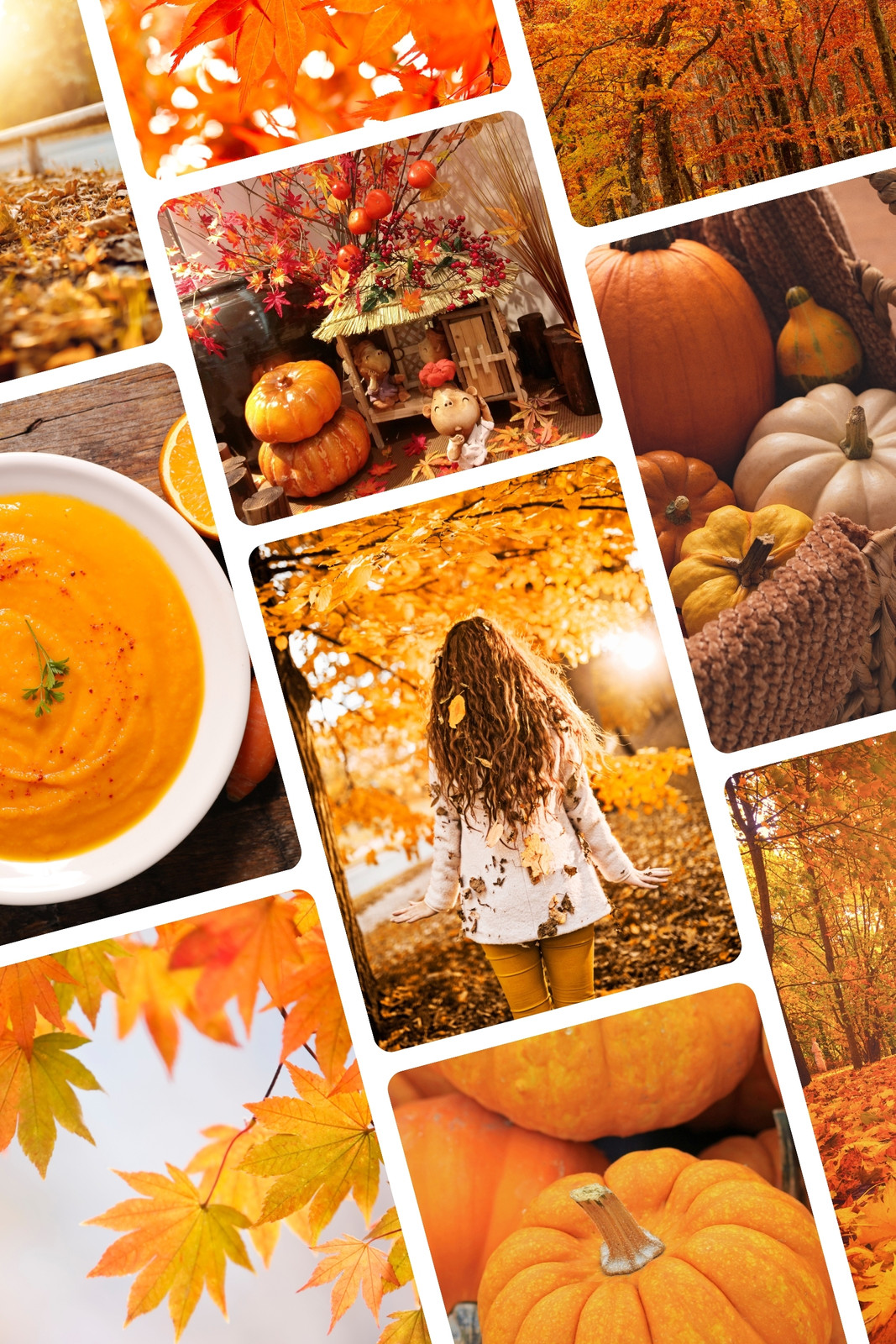 autumn photo collages