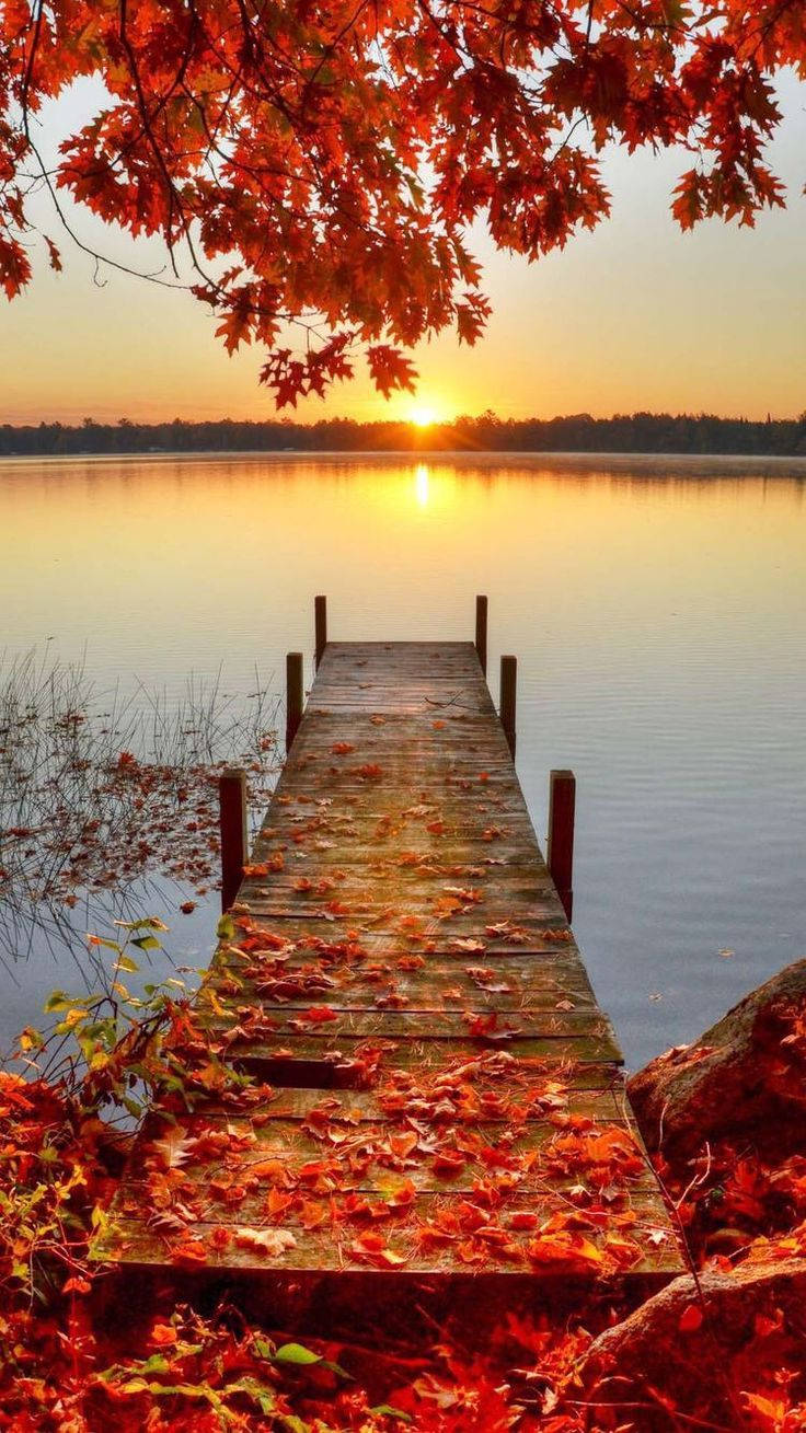 Download Bridge Red Leaves Fall IPhone