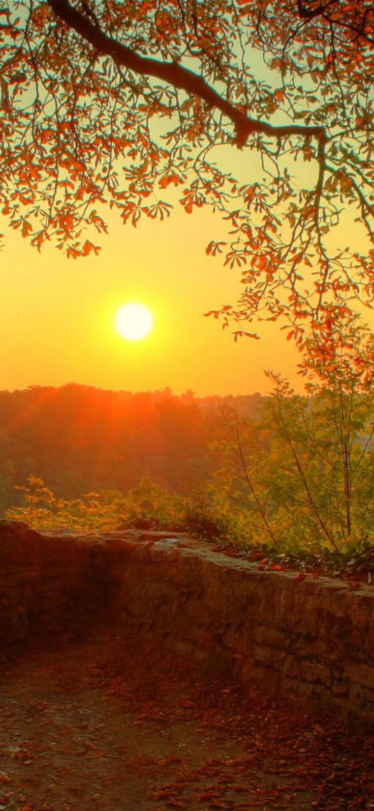 Nature Autumn Sunrise iPhone Wallpaper