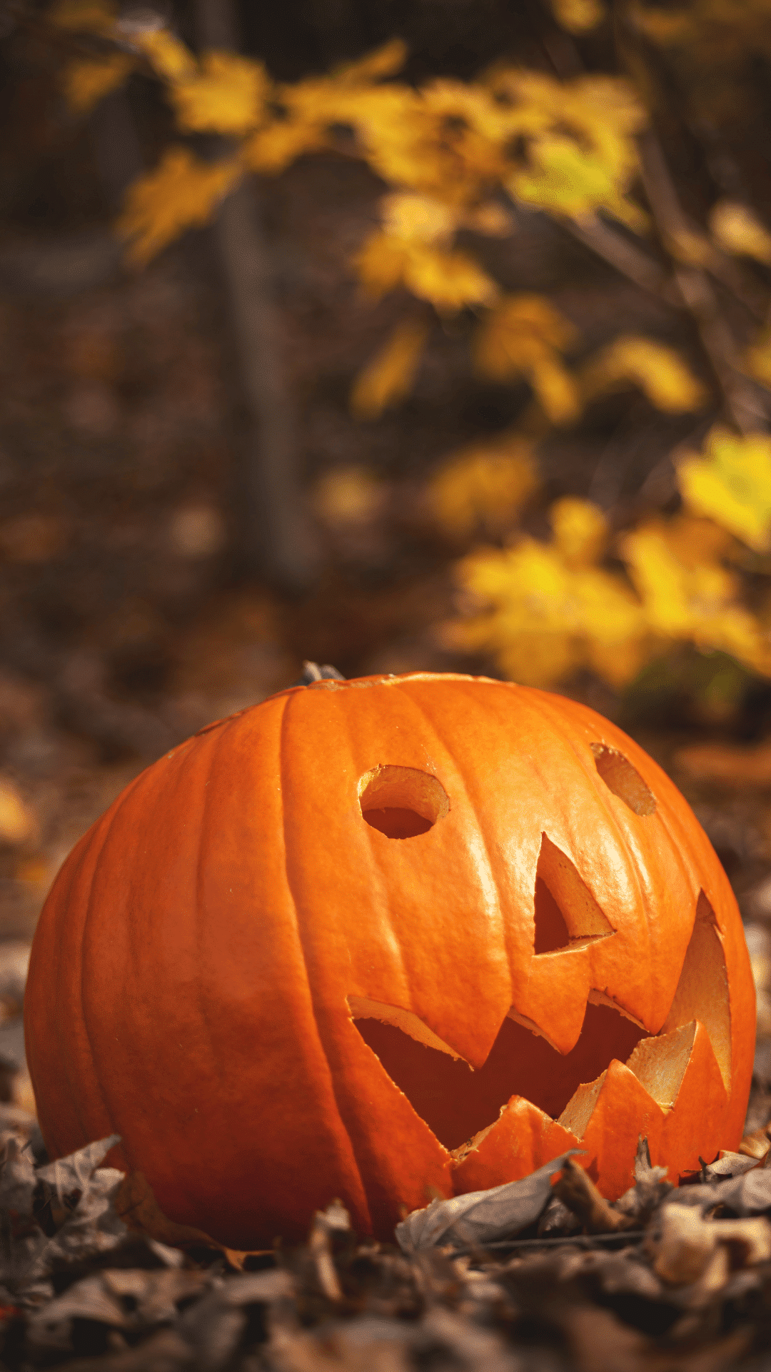 Aesthetic Fall Phone Wallpaper