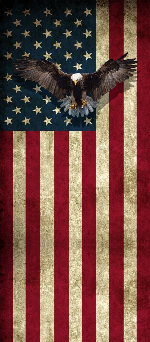 Worn USA flag with Eagle Flying Door wrap