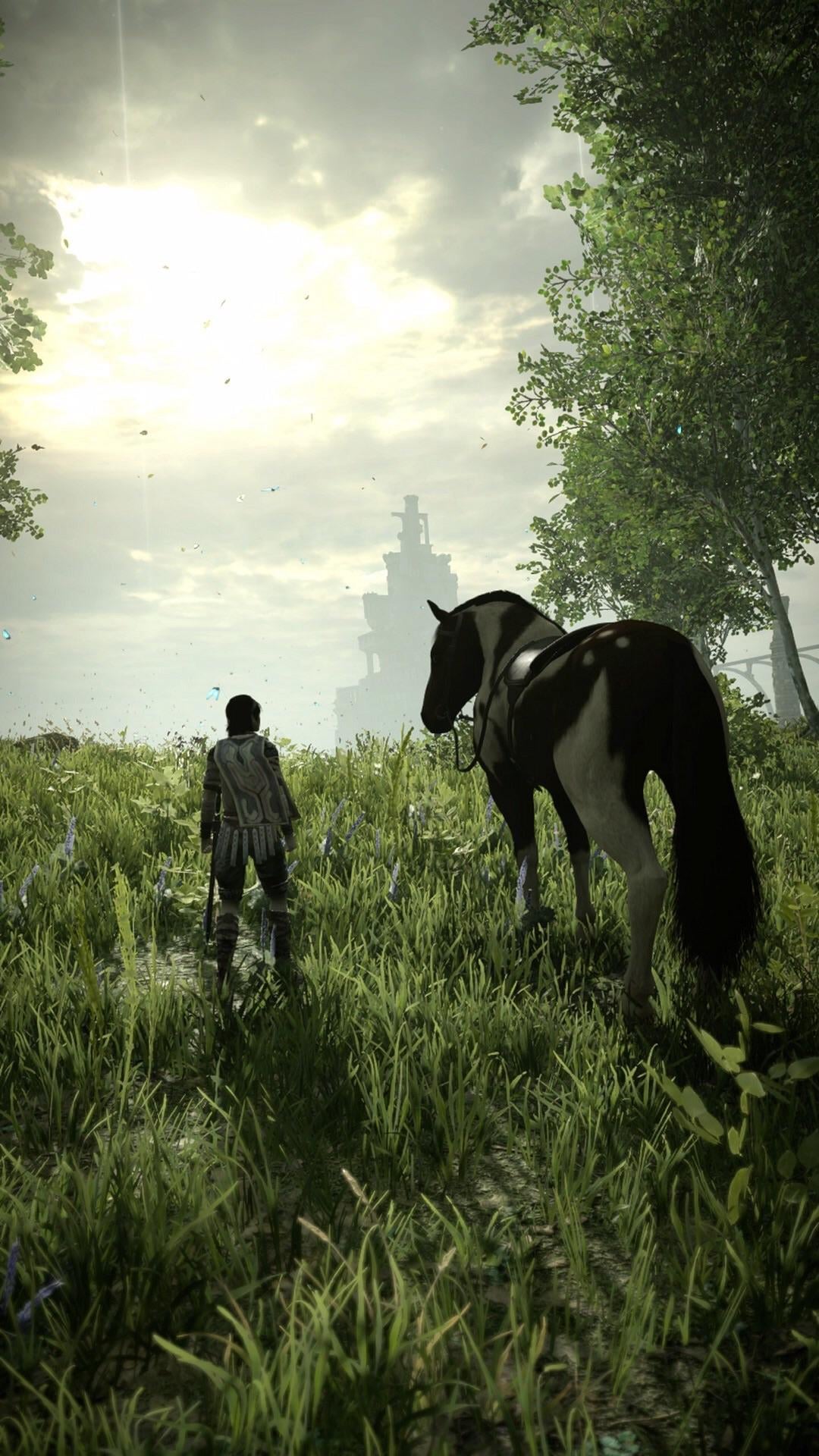 A phone wallpaper for my colossi