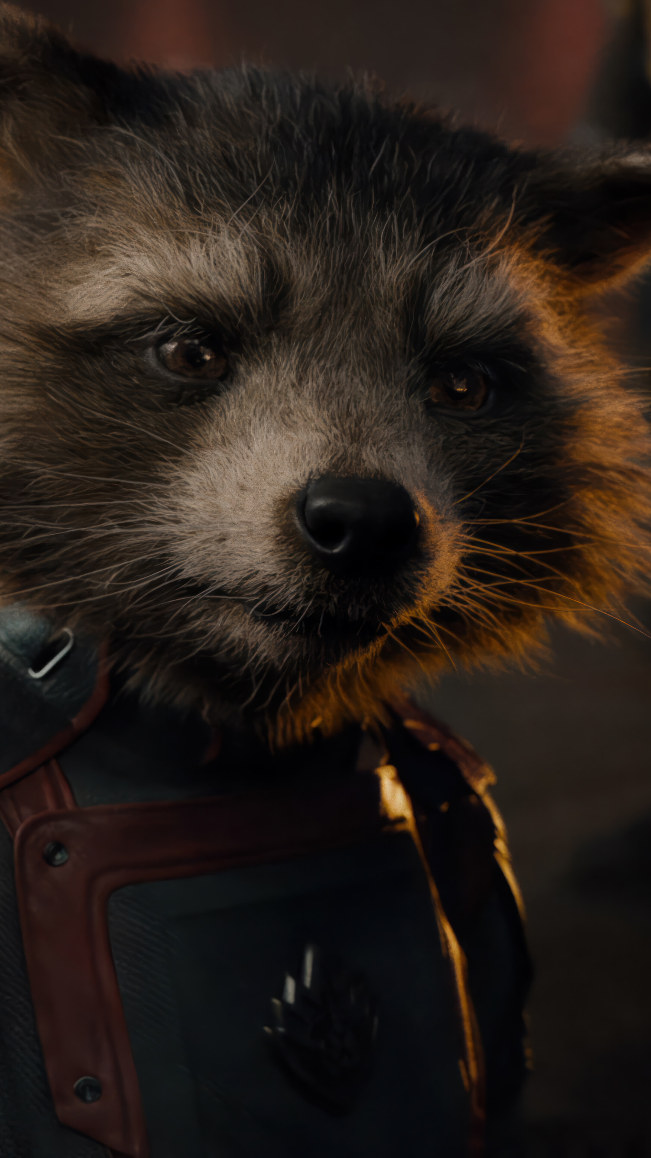 Rocket Raccoon Guardians of the Galaxy