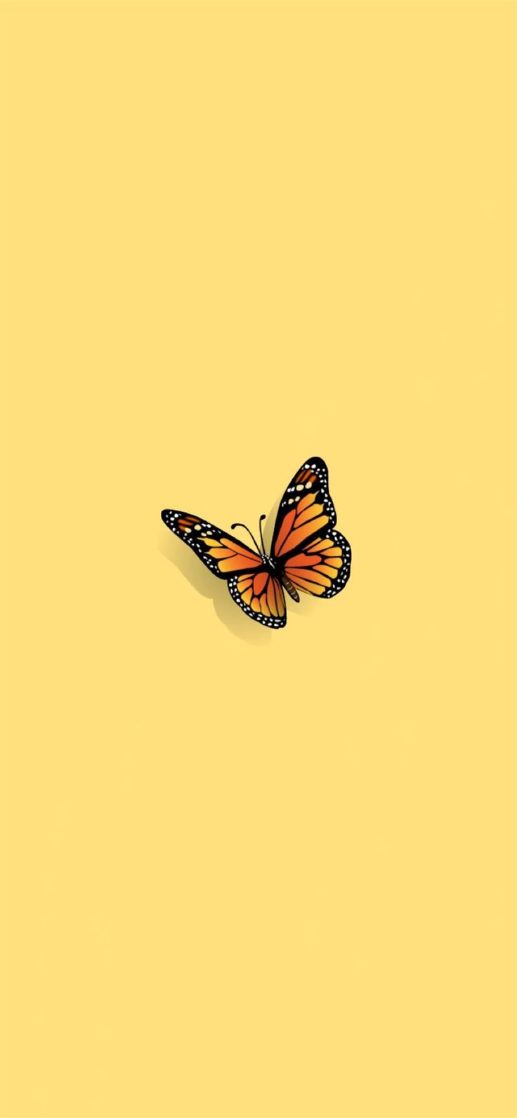 Butterfly iPhone 12 Wallpaper
