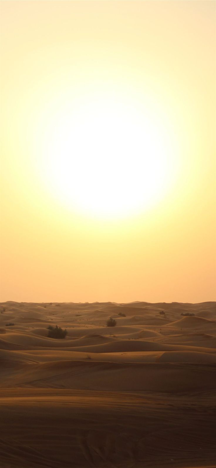 beige sand during sunset iPhone 12