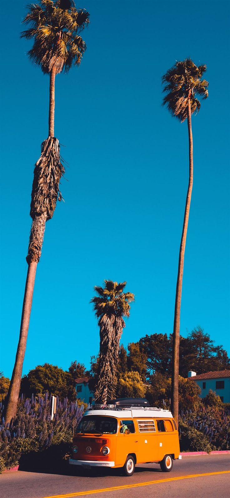 daytime iPhone 12 Wallpaper
