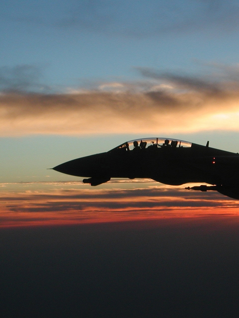 Grumman F 14 Tomcat wallpaper