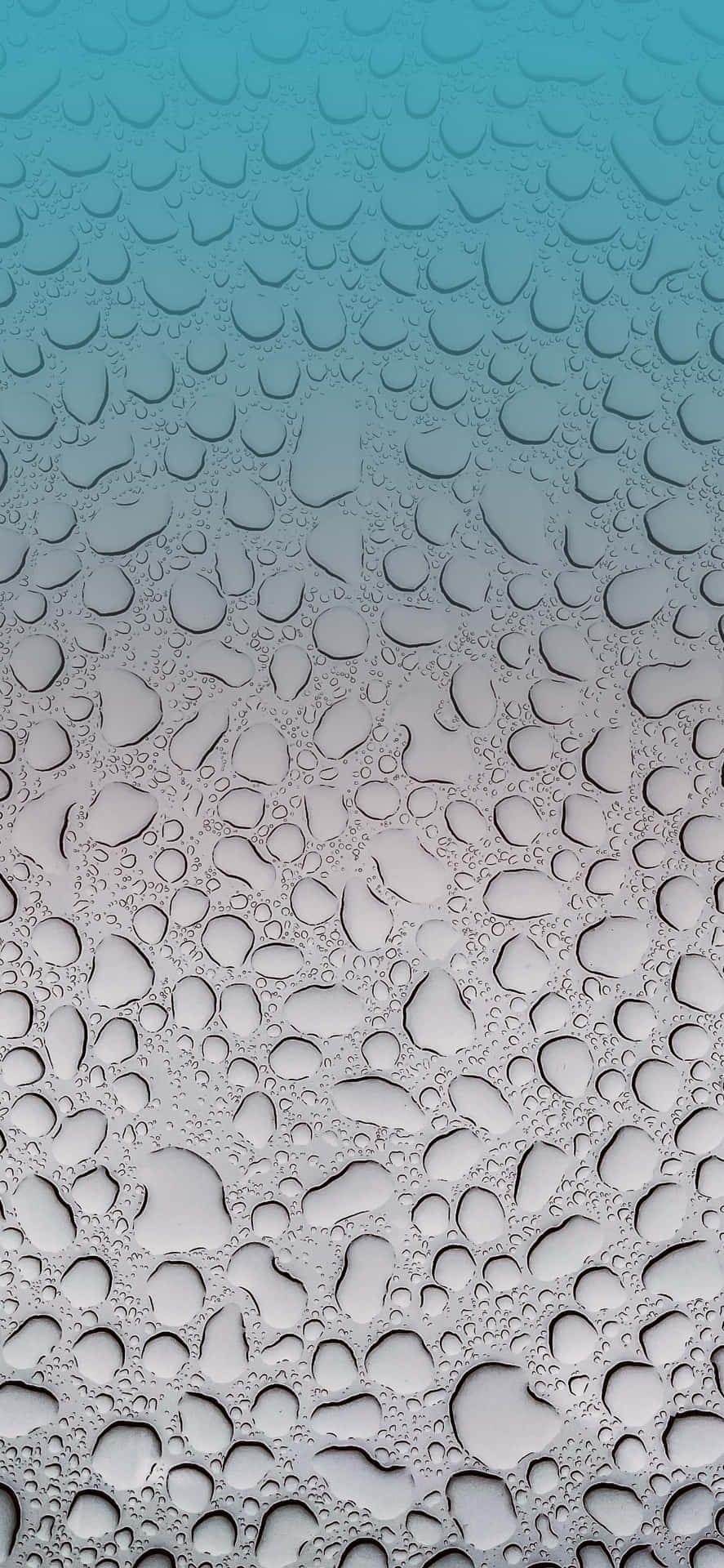 Glass Surface Wallpaper