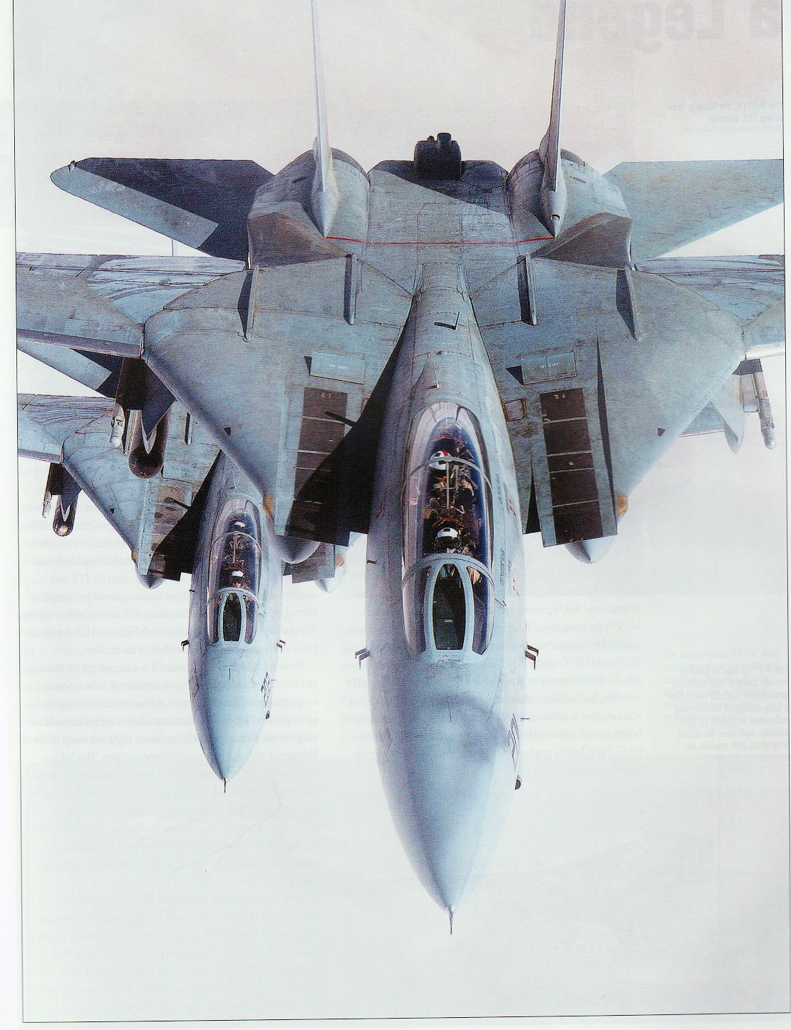 The Grumman F 14 Tomcat