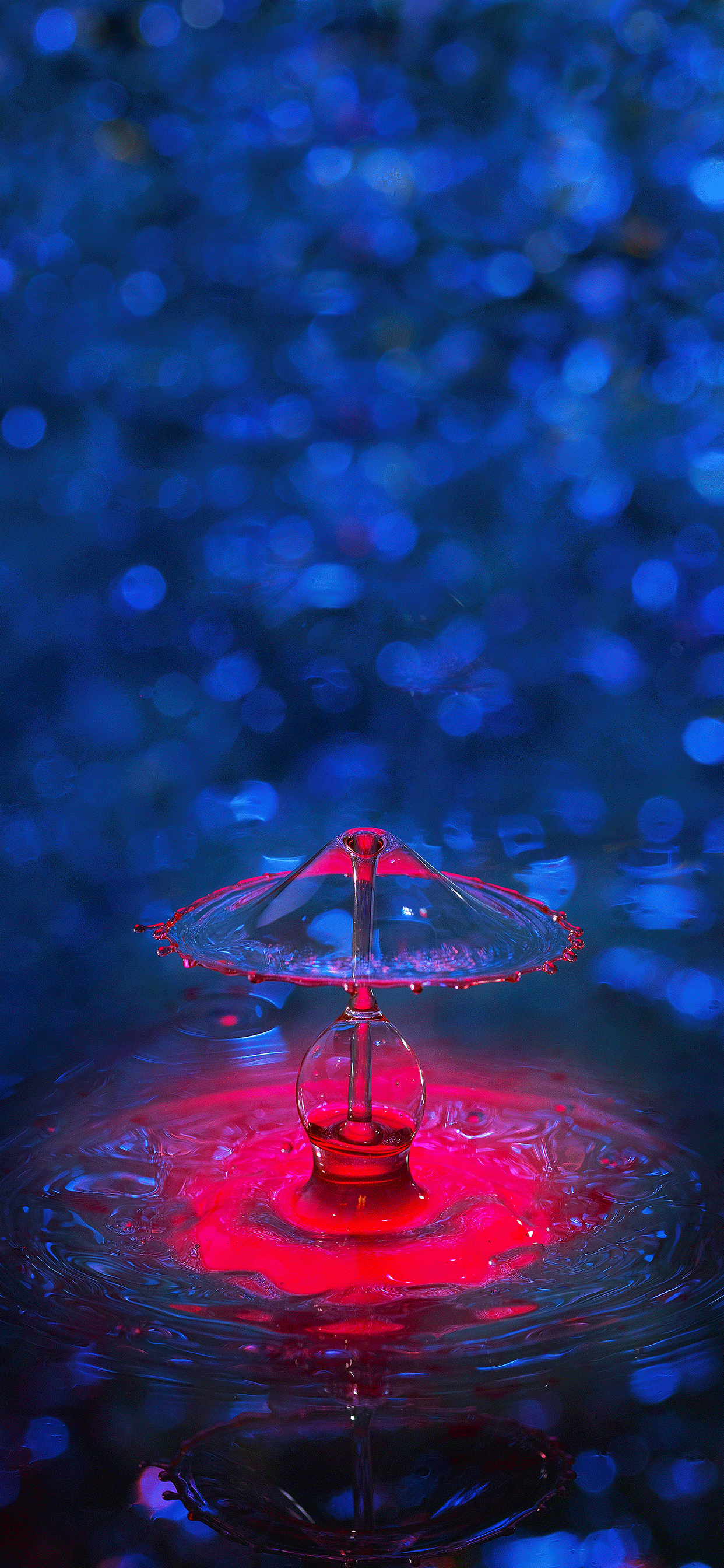 Water drops Wallpaper for iPhone 11